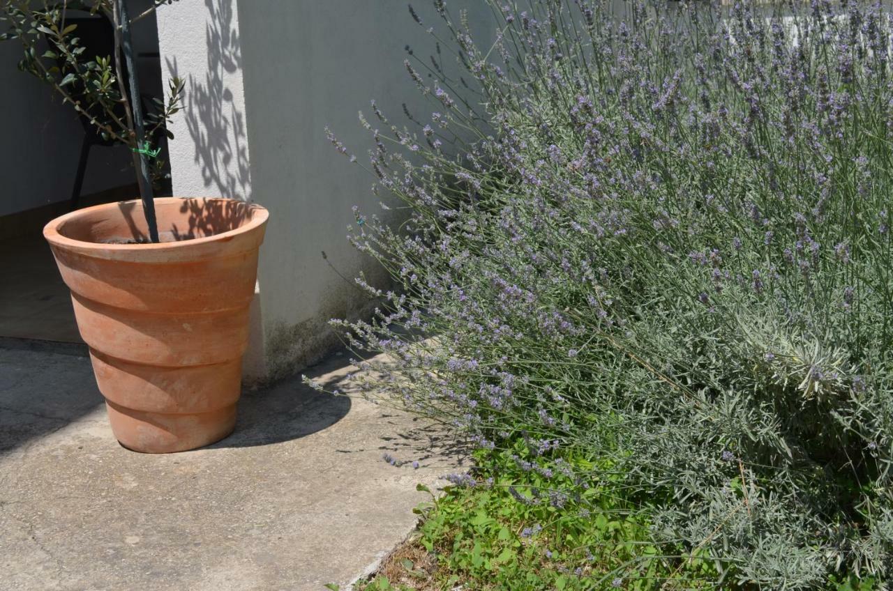 Apartman Roguljic Split Dış mekan fotoğraf