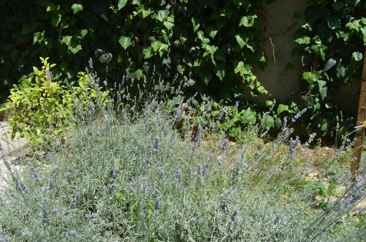 Apartman Roguljic Split Dış mekan fotoğraf