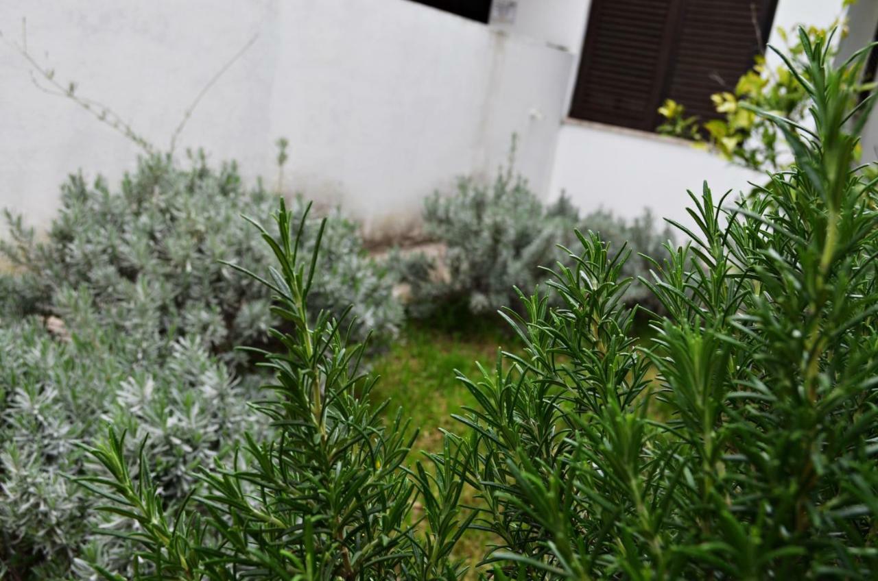 Apartman Roguljic Split Dış mekan fotoğraf